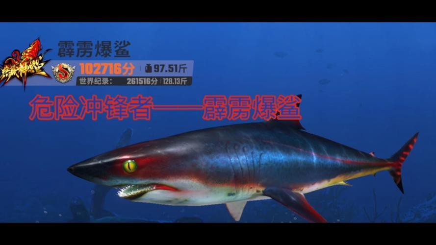 抖音鯊魚爆爆的照片大全大圖