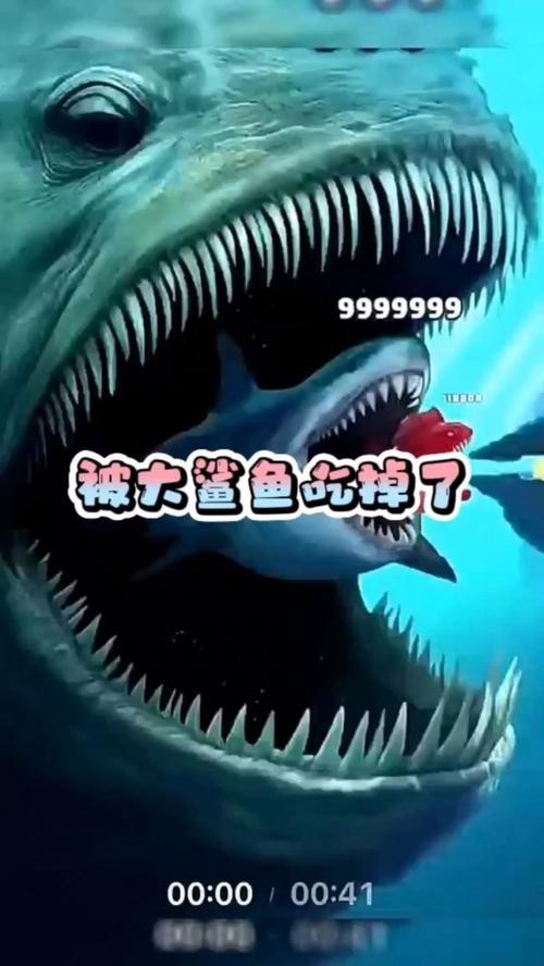 抖音鯊魚爆爆的照片大全大圖