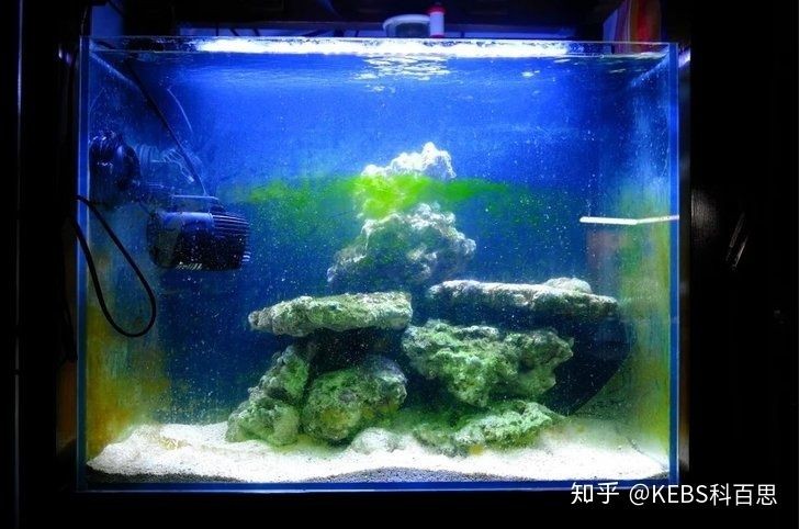 國內魚缸品牌有哪些：國內魚缸品牌【品牌排行榜前十名魚缸品牌排行榜