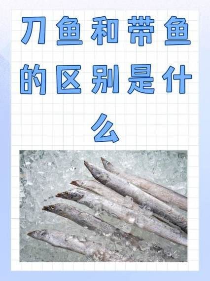 帶魚和刀魚的圖片