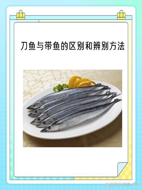 帶魚和刀魚的圖片