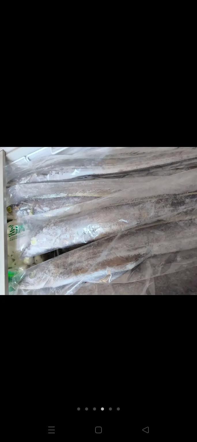 帶魚和刀魚的圖片