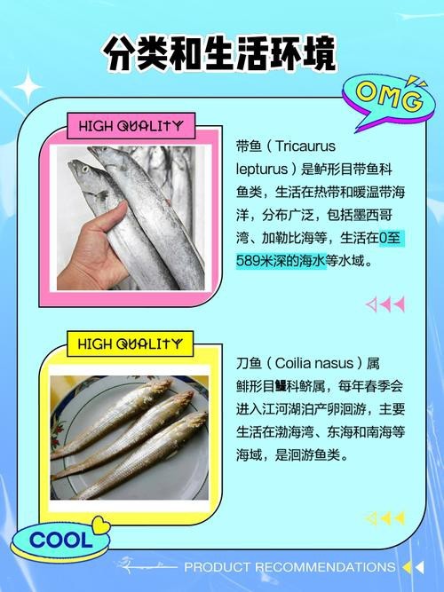 帶魚和刀魚的圖片