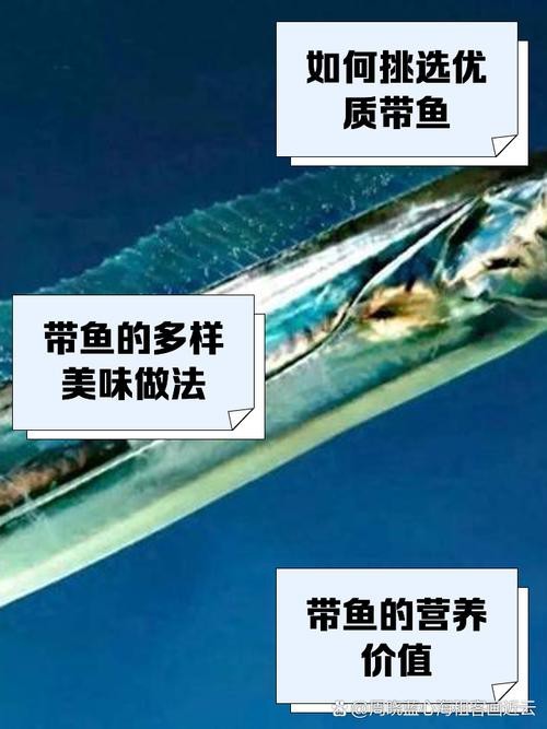 帶魚和刀魚的圖片