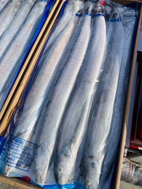帶魚和刀魚的圖片