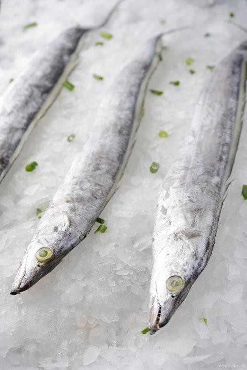 帶魚和刀魚的圖片