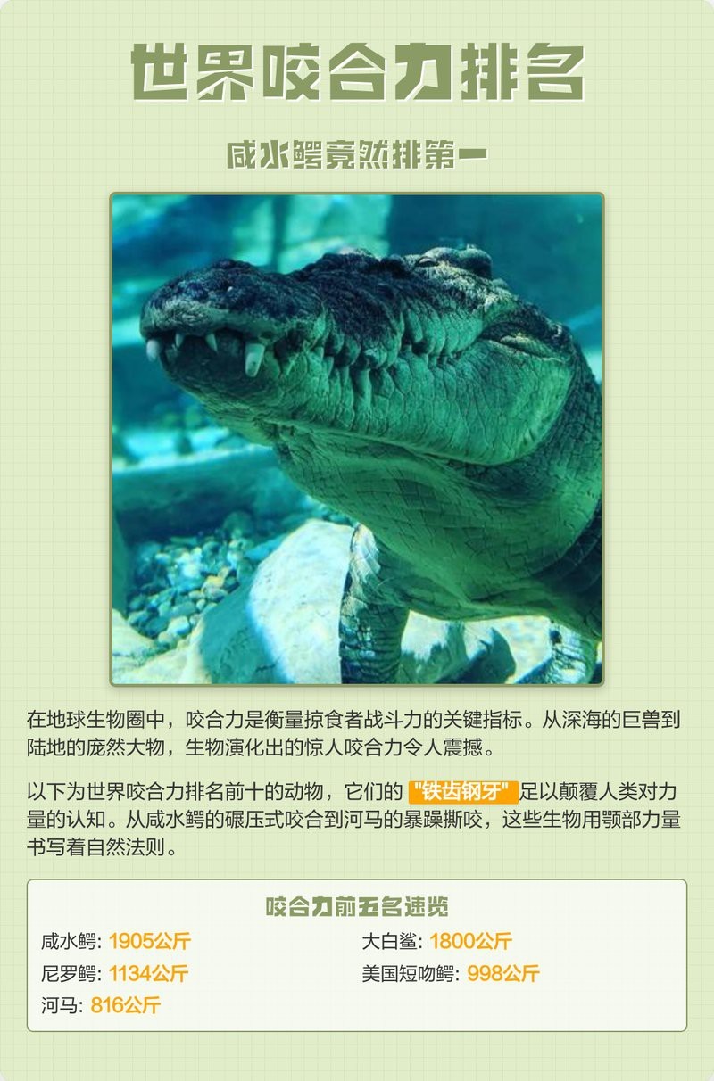 十大鱷魚戰斗力排名