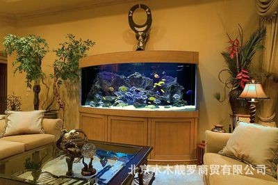 專業魚缸定制(專業魚缸定制需要考慮哪些問題) 魚缸百科 第5張 專業魚缸定制(專業魚缸定制需要考慮哪些問題) 專業魚缸定制(專業魚缸定制需要考慮哪些問題) 魚缸百科 第5張