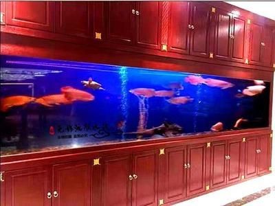 專業魚缸定制(專業魚缸定制需要考慮哪些問題) 魚缸百科 第2張 專業魚缸定制(專業魚缸定制需要考慮哪些問題) 專業魚缸定制(專業魚缸定制需要考慮哪些問題) 魚缸百科 第2張