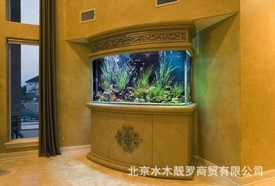 專業魚缸定制(專業魚缸定制需要考慮哪些問題) 魚缸百科 第3張 專業魚缸定制(專業魚缸定制需要考慮哪些問題) 專業魚缸定制(專業魚缸定制需要考慮哪些問題) 魚缸百科 第3張