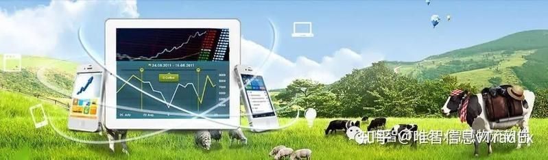 活禽交易平臺app