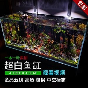 魚(yú)缸介紹視頻講解：有關(guān)魚(yú)缸介紹視頻講解的網(wǎng)站