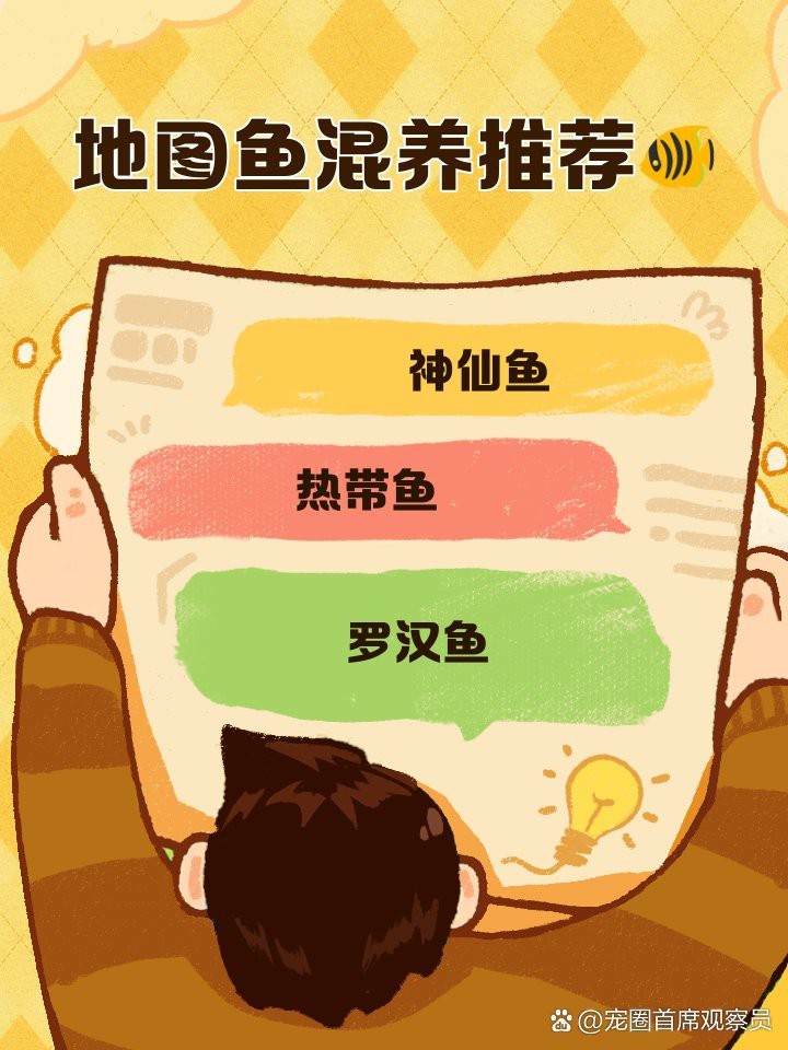 地圖魚不攻擊哪種魚 地圖魚不攻擊哪種魚 龍魚論壇 第1張