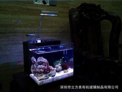 高級魚缸設計方案：訂做魚缸價格受多種因素影響diy魚缸風水講究