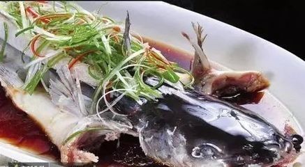 龍魚吃青菜嗎有營養嗎：銀龍魚日常飲食結構解析,龍魚消化不良的預防措施