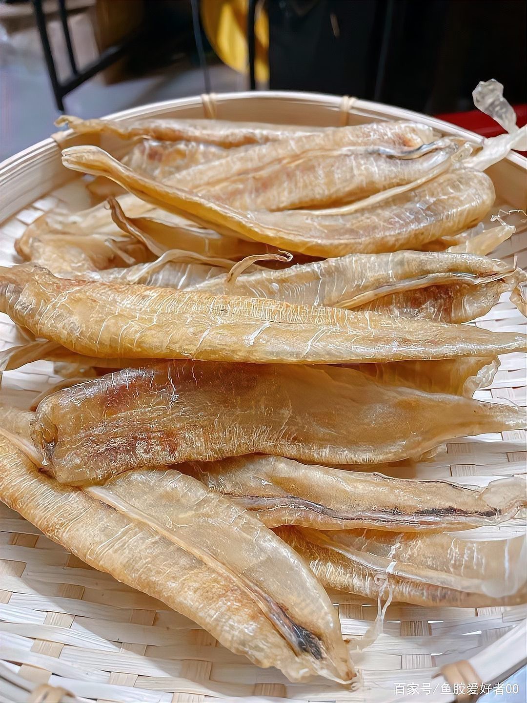 金龍魚膠是什么魚的膠