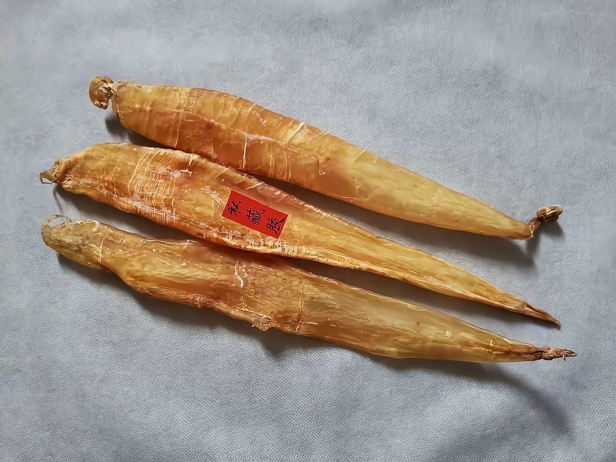 金龍魚膠是什么魚的膠