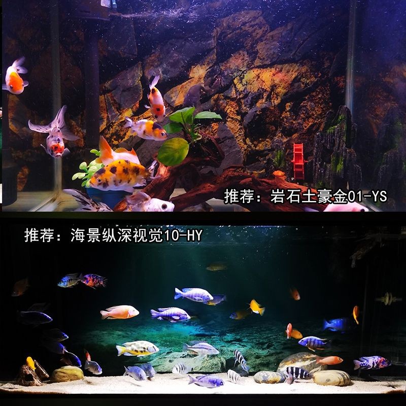 魚缸定制推薦（魚缸定制推薦,嘉興魚缸私人定制提供大型魚缸定做服務）