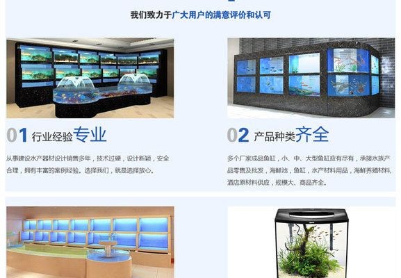 如何判斷龍貓是否處于繁殖期
