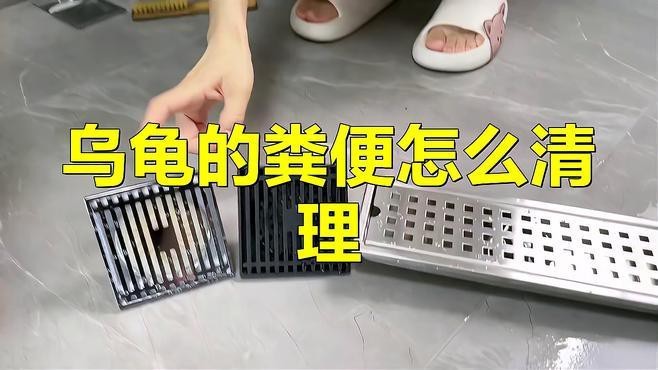如何判斷龍龜擺件是否需要清潔？