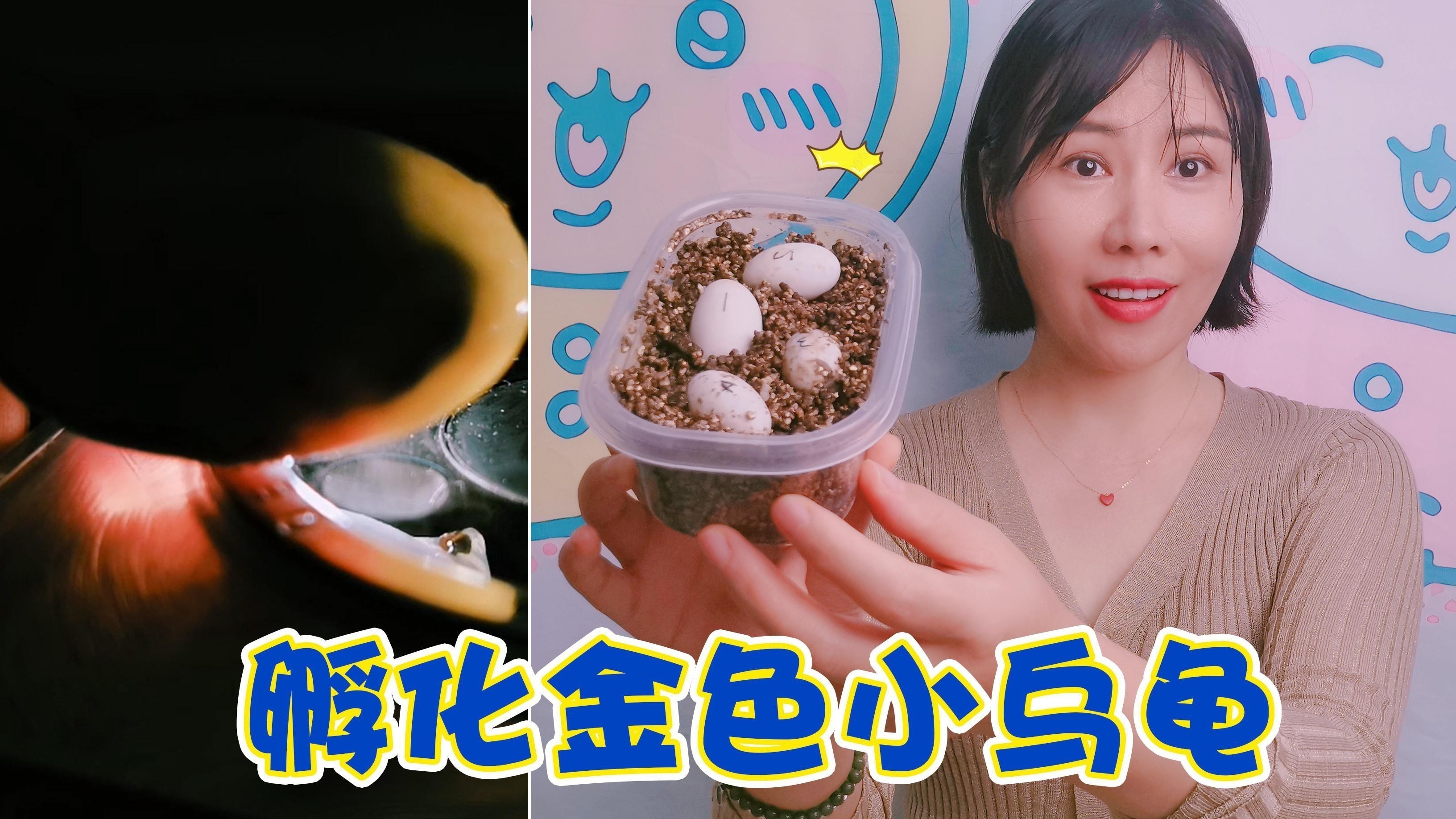 如何判斷龍龜擺件是否需要清潔？