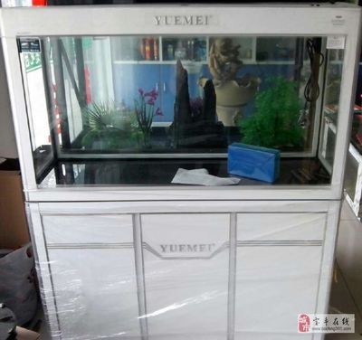 花都區賣魚缸的相關店鋪信息：魚缸的養護技巧：花都區賣魚缸的店鋪信息