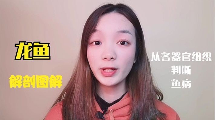 龍魚解剖圖