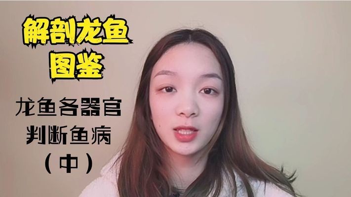 龍魚解剖圖