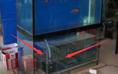 底過濾魚缸怎么加水（底濾魚缸加水的基本步驟）