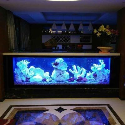 魚腹部腫大怎么辦？，如何治療魚腹部腫大