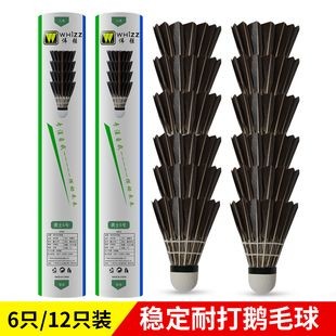 羽毛刀魚苗恒溫器選擇指南（羽毛刀魚苗恒溫器）