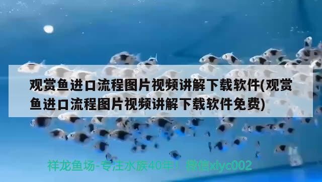 福建省<strong><mark>泉州</mark></strong>裕摯百貨有限公司蘇坑超市
