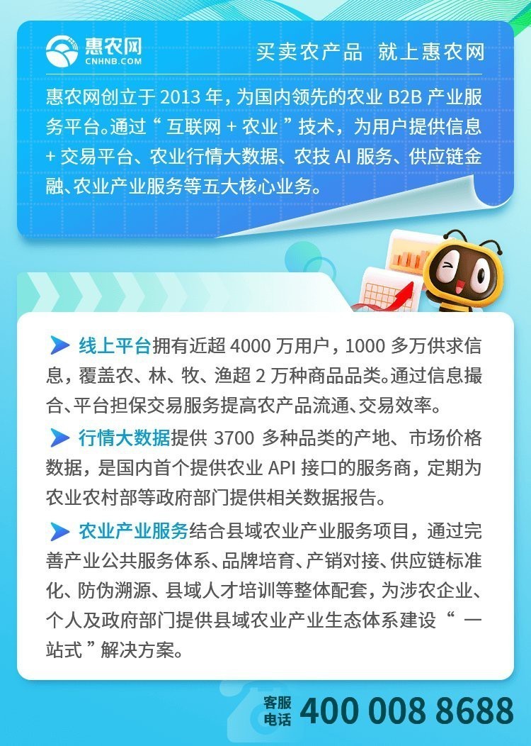 青衣魚價格多少錢一斤