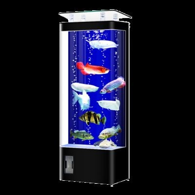 美之海魚缸怎么樣好用嗎（美之海魚缸品牌發展歷程）