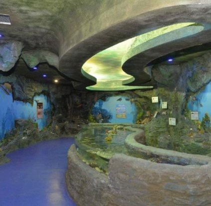 水族館加盟需要多少錢