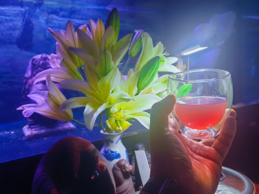 夜深，調酒獨斟…… 杯中琥珀流光，百合芬芳盈袖，孑然獨坐，對貓而酌……杯盞相影，冰塊與酒同泛，心情共夜色齊哀，嘆德國之逆旅，感世事之無常，每一盞盡處，喟然歐元之匯率……