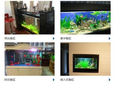 定制魚缸好還是成品魚缸好？：定制魚缸和成品缸的選擇對比分析成品魚缸可能是更好的選擇