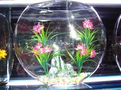定制魚缸好還是成品魚缸好？：定制魚缸和成品缸的選擇對比分析成品魚缸可能是更好的選擇