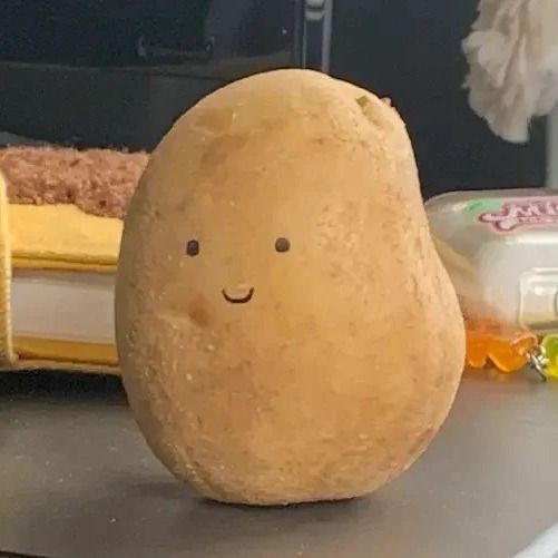 觀賞魚老了的表現