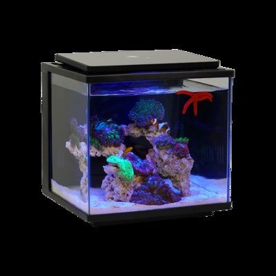 海享說魚缸連接app教程：海享說app遠程操作指南