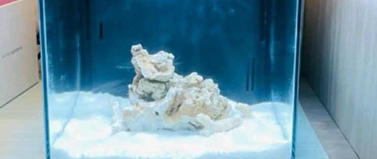 海享說魚缸連接app教程：海享說app遠程操作指南