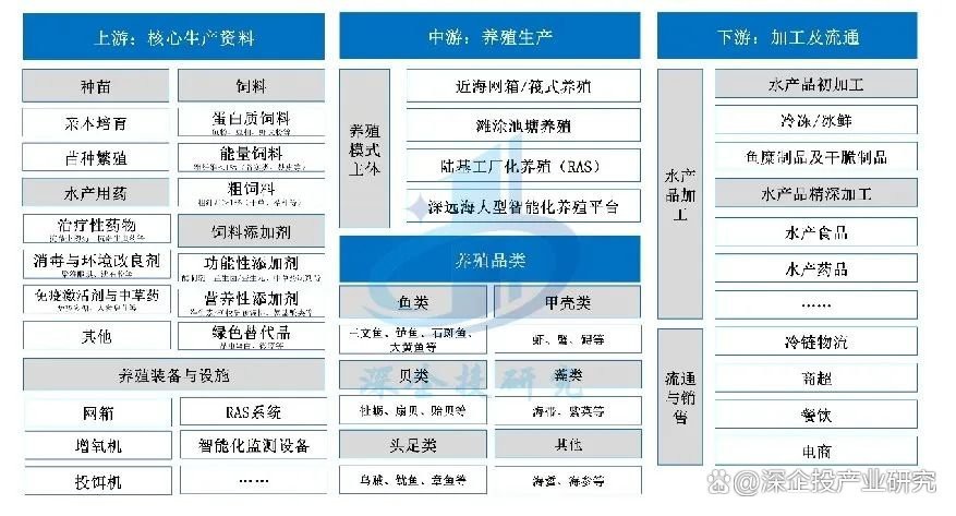紅龍海水魚的市場供需情況如何？