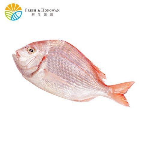 紅立魚多少錢一斤
