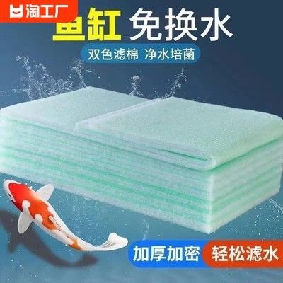 魚缸過濾哪種材料好：魚缸過濾材料的選擇