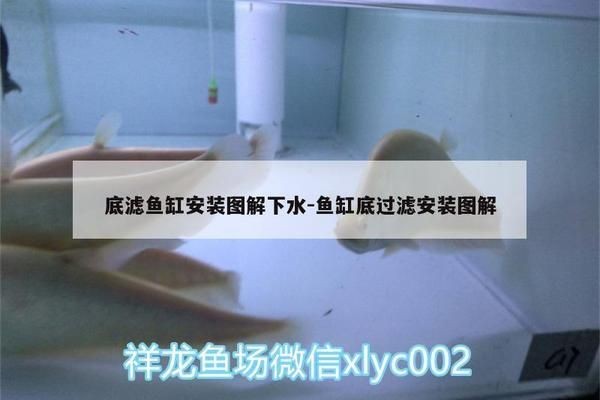 底濾魚缸拆裝：“底濾魚缸拆裝詳情”，底濾魚缸濾材更換指南
