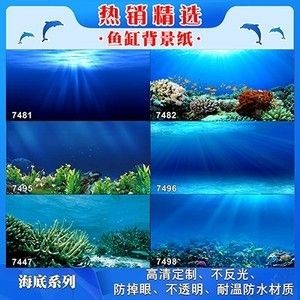 魚缸背景貼紙怎樣粘貼：魚缸背景貼紙的粘貼方法