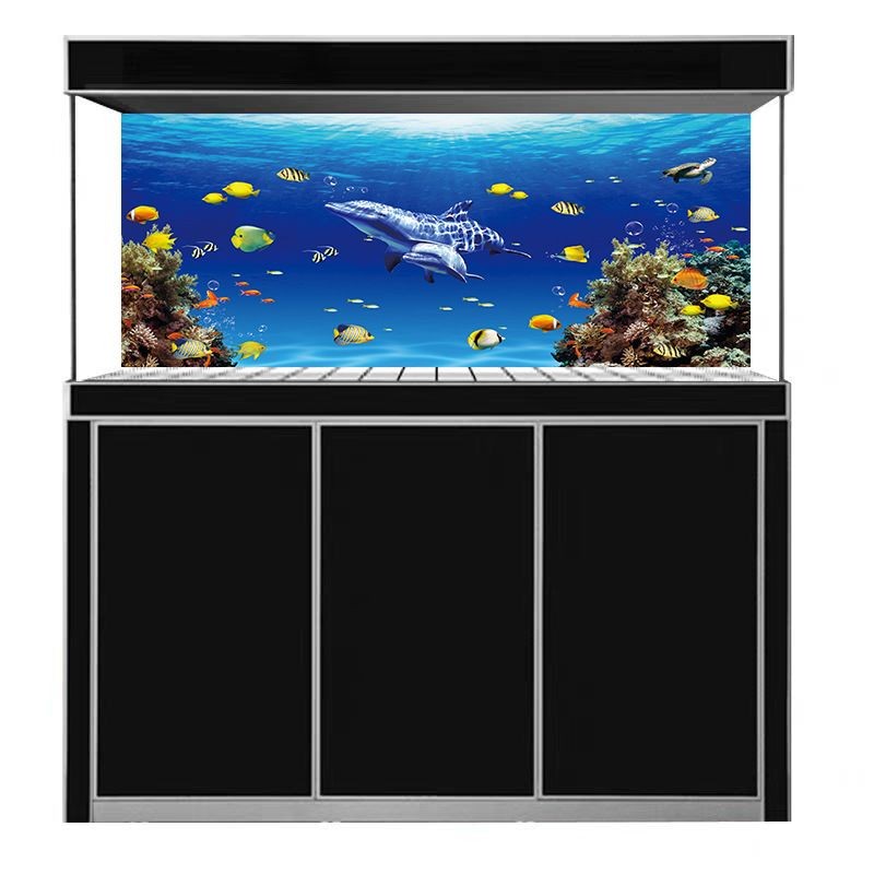 魚缸背景貼紙怎樣粘貼：魚缸背景貼紙的粘貼方法