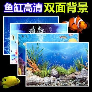 魚缸背景貼紙怎樣粘貼：魚缸背景貼紙的粘貼方法