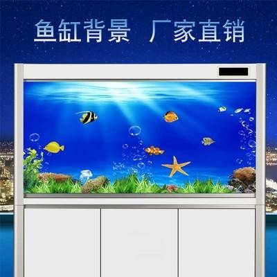 魚缸背景貼紙怎樣粘貼：魚缸背景貼紙的粘貼方法