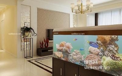 魚(yú)缸的擺放位置客廳的什么位置（魚(yú)缸擺放位置客廳的什么位置魚(yú)缸擺放位置客廳的位置）